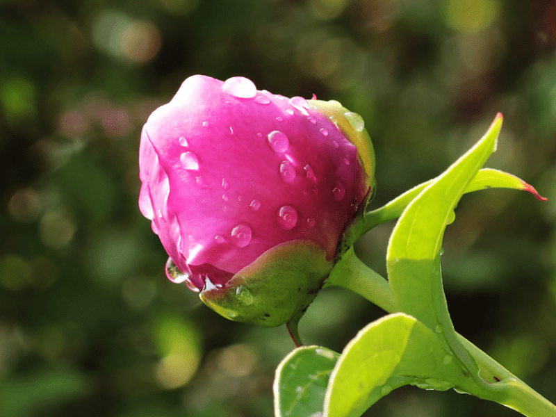 Why Talk Therapy Works (for&nbsp;me)