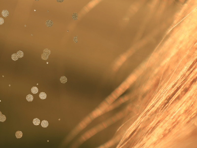 Love is in the&nbsp;Hair