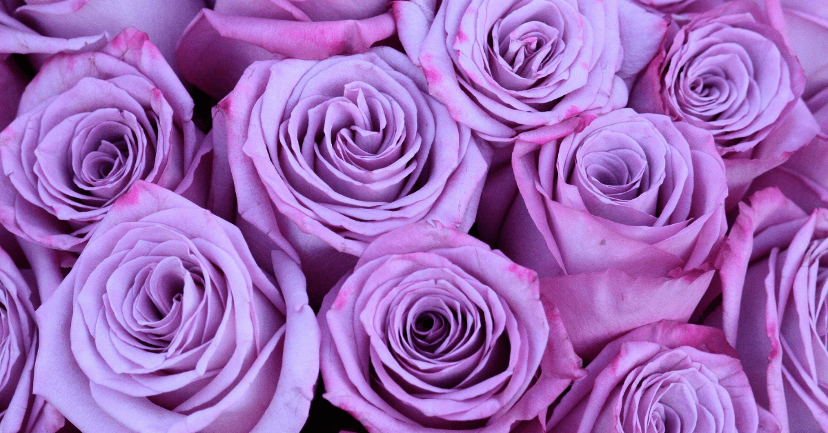 Confessions of a People&nbsp;Pleaser